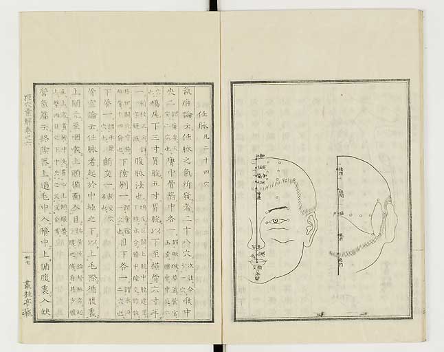 K0040s0242