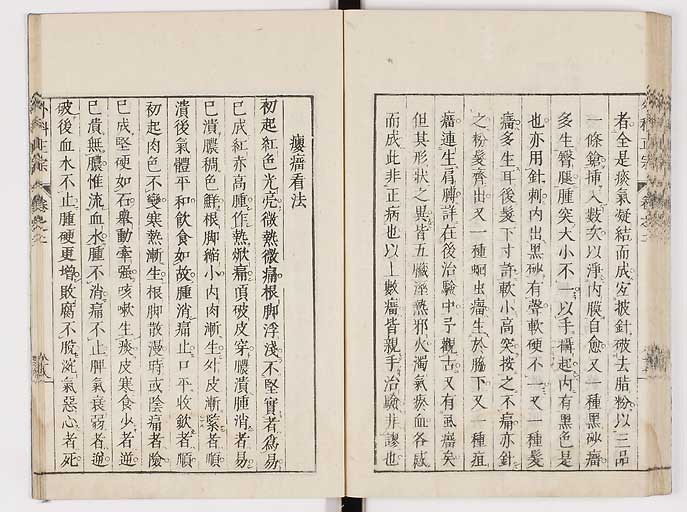 K0041s0206