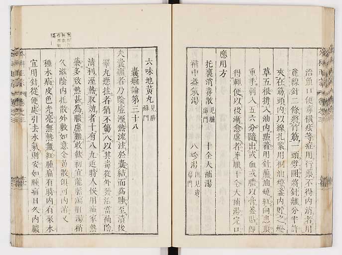 K0041s0299