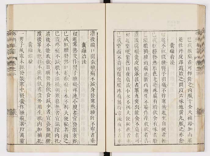 K0041s0300