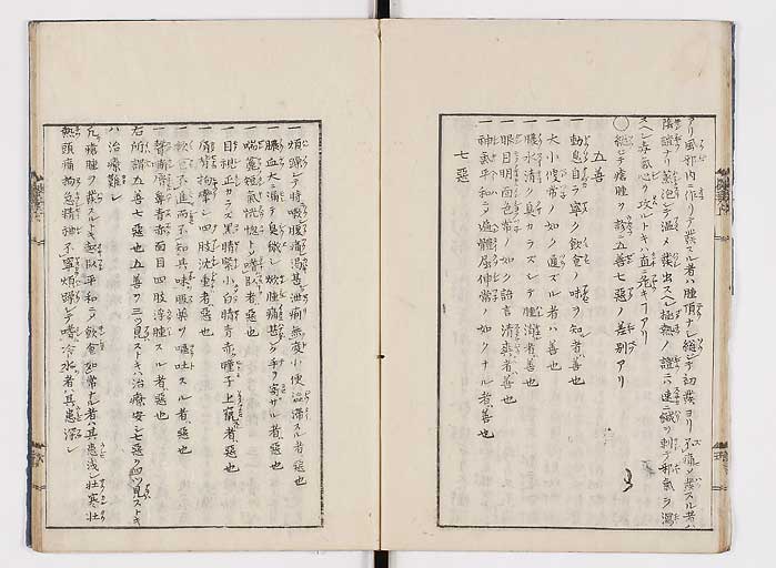 K0043s0013