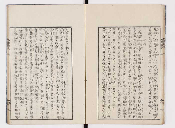 K0043s0016