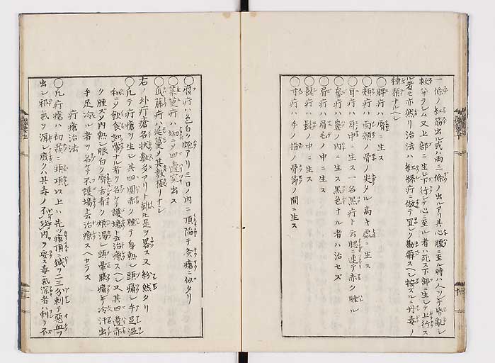 K0043s0018