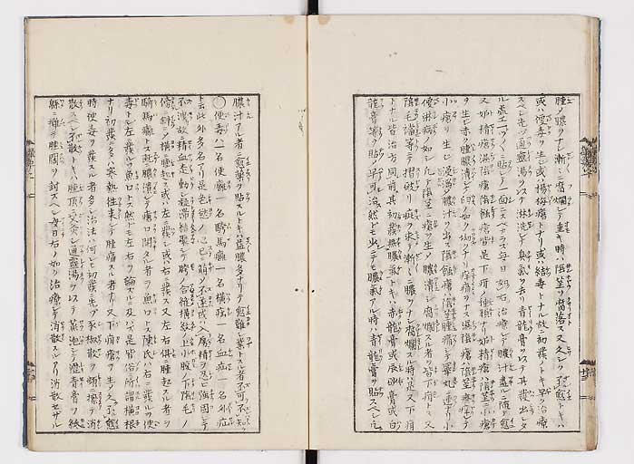 K0043s0021