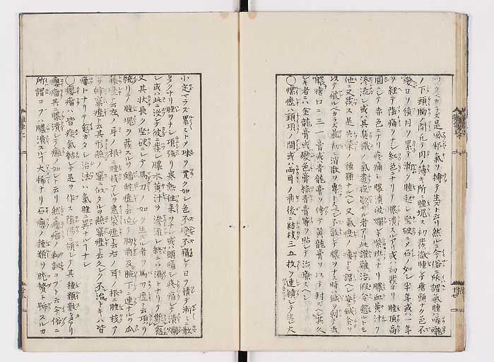 K0043s0025