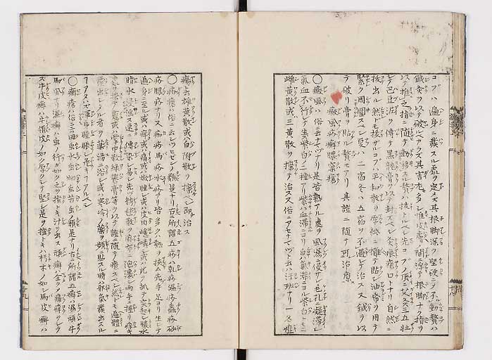 K0043s0026