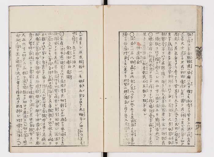 K0043s0027