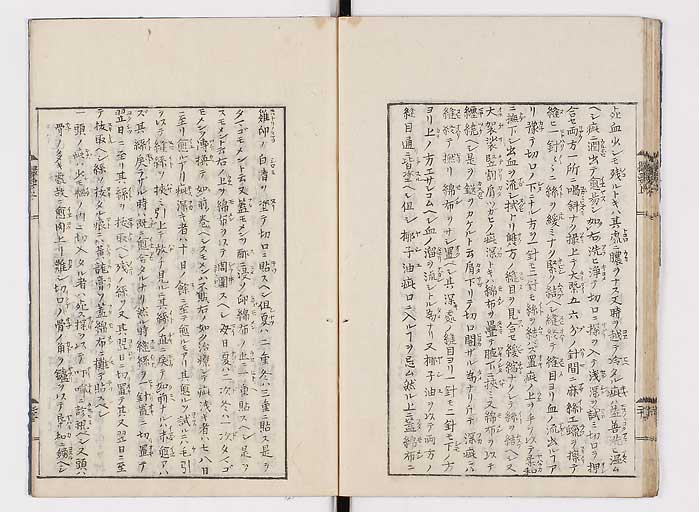 K0043s0028