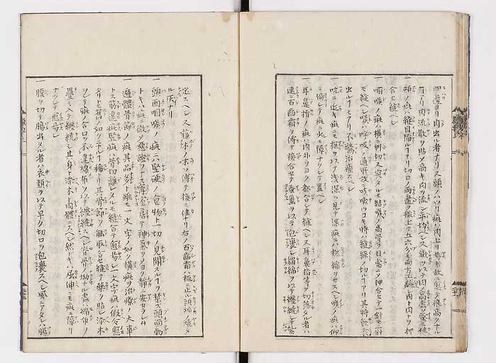 K0043s0029