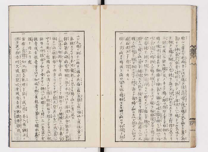 K0043s0030