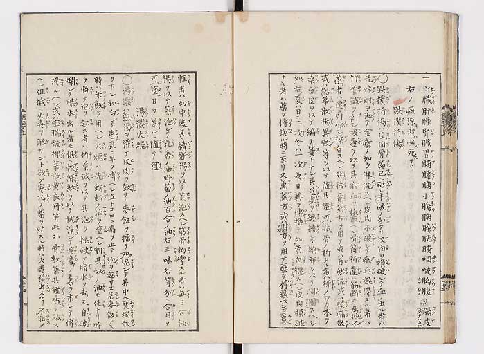 K0043s0031