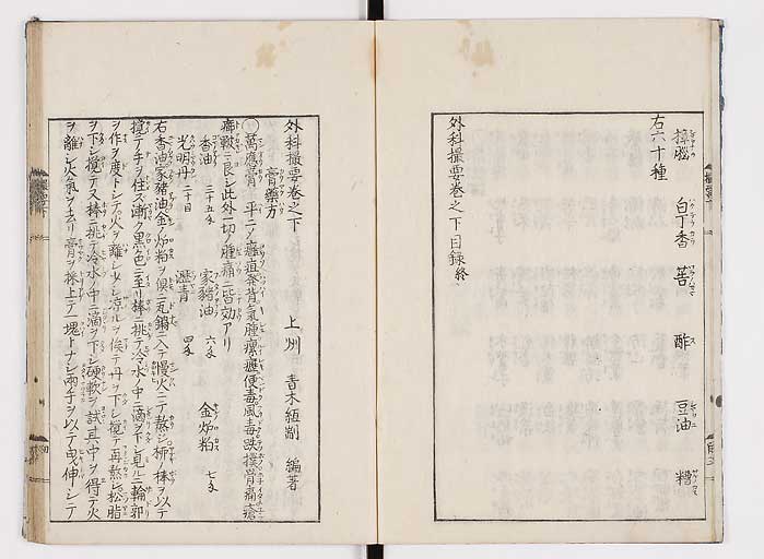 K0043s0039