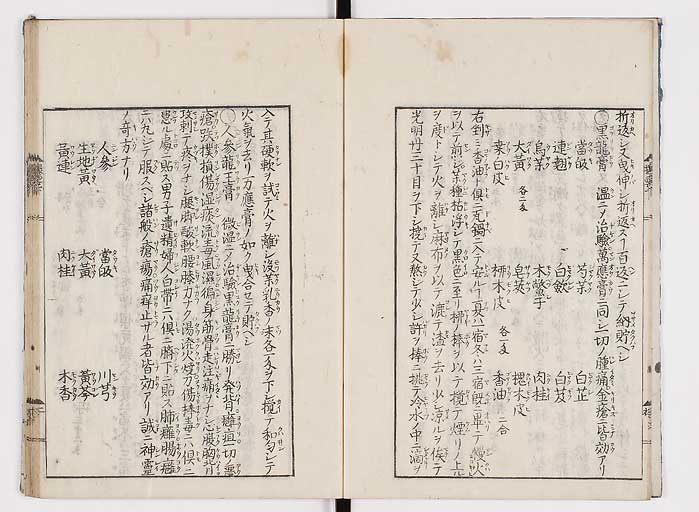 K0043s0040