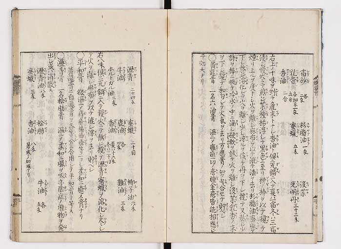 K0043s0041