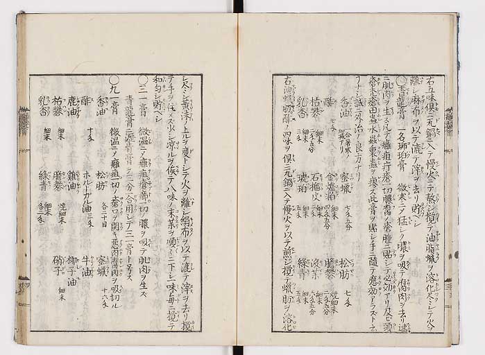 K0043s0042