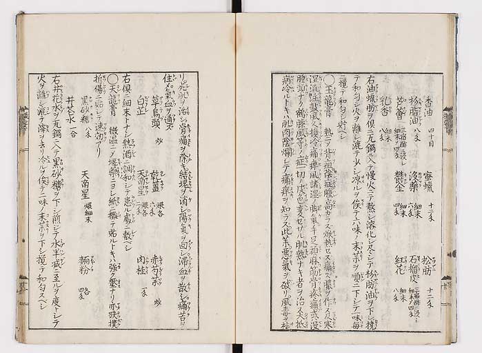 K0043s0049