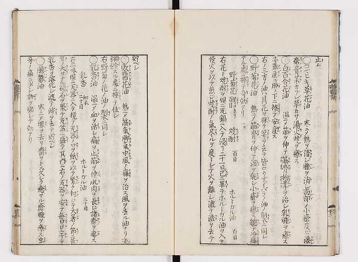 K0043s0051