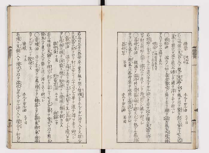 K0043s0052