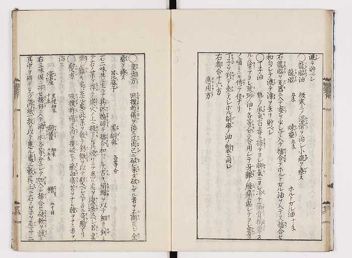 K0043s0053