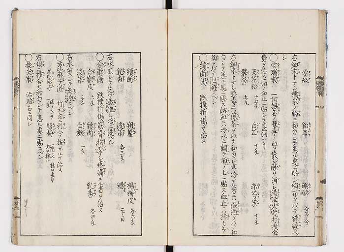 K0043s0055