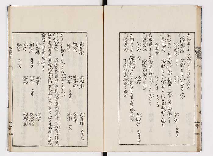 K0043s0059