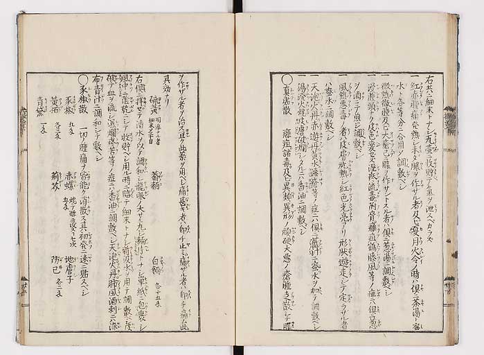K0043s0060