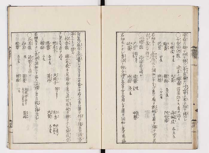 K0043s0063