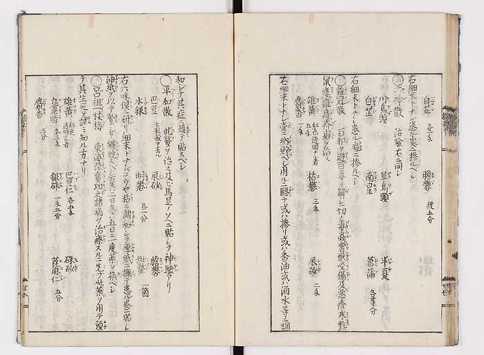 K0043s0066