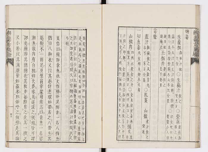 K0044s0028