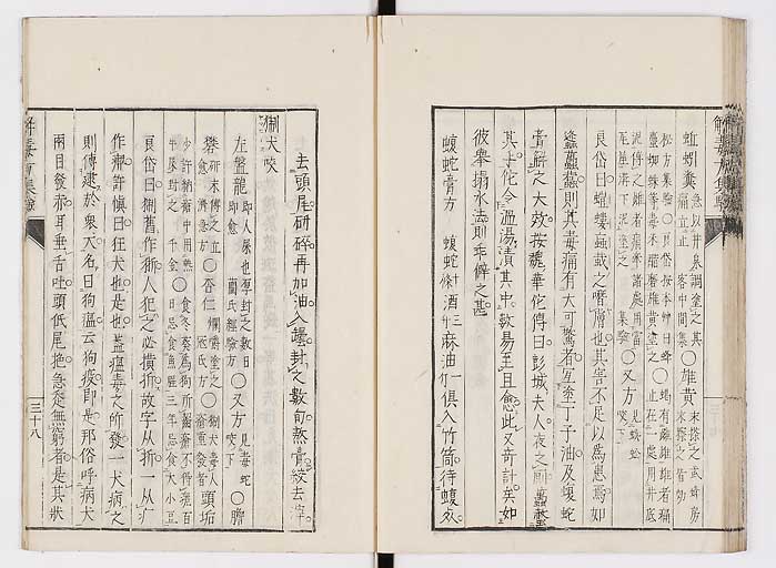 K0044s0043