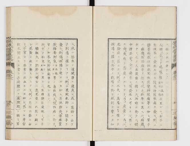 K0046s0010