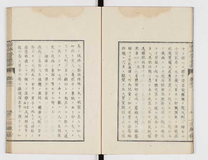 K0046s0011