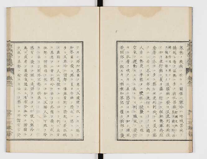 K0046s0019