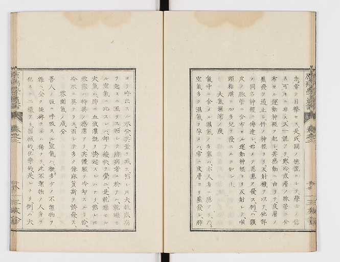 K0046s0020