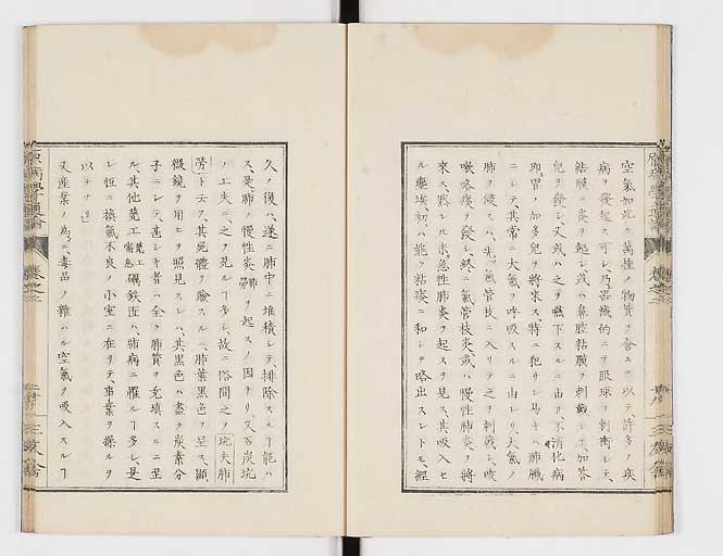 K0046s0022