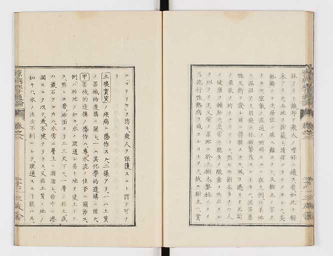 K0046s0029