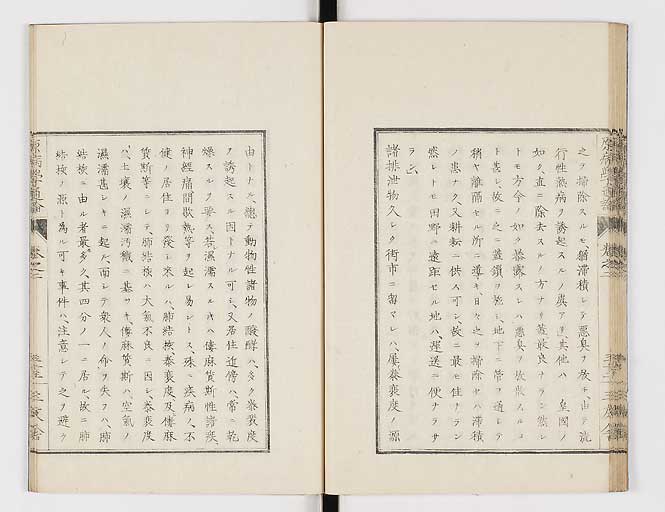 K0046s0035