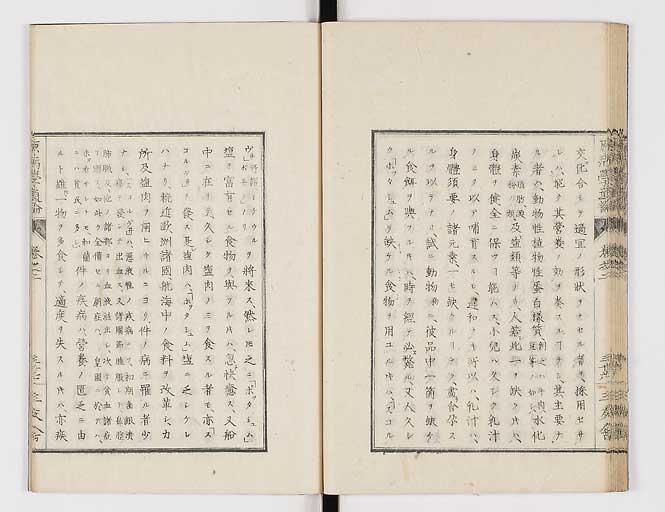 K0046s0039