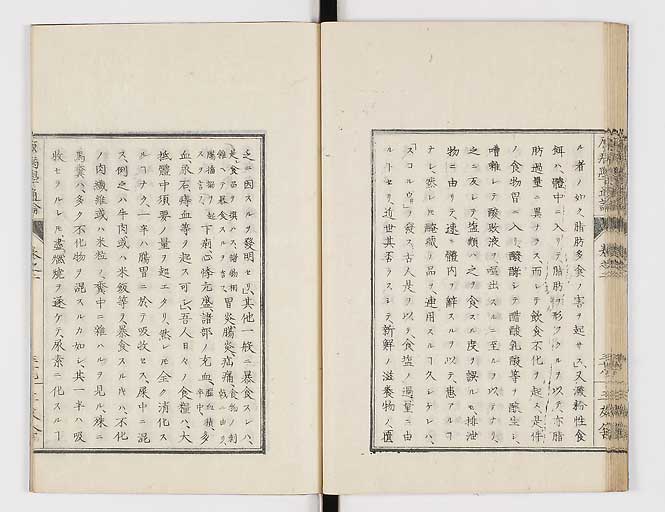 K0046s0041