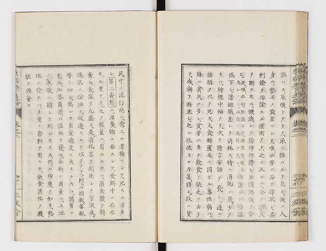 K0046s0042