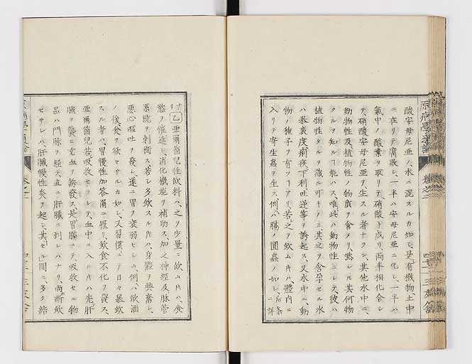 K0046s0044