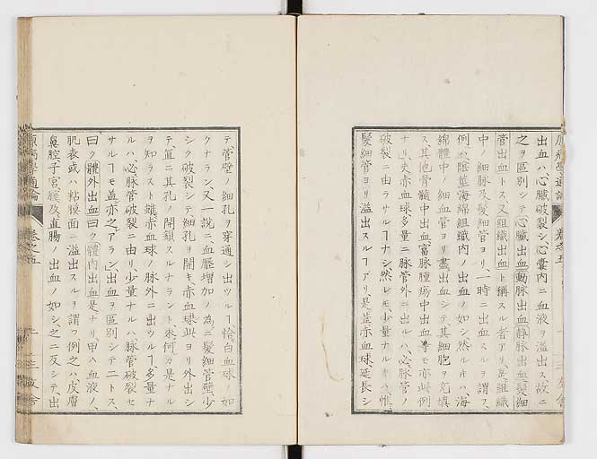K0046s0051