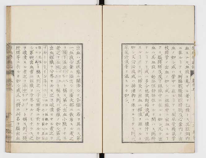 K0046s0052