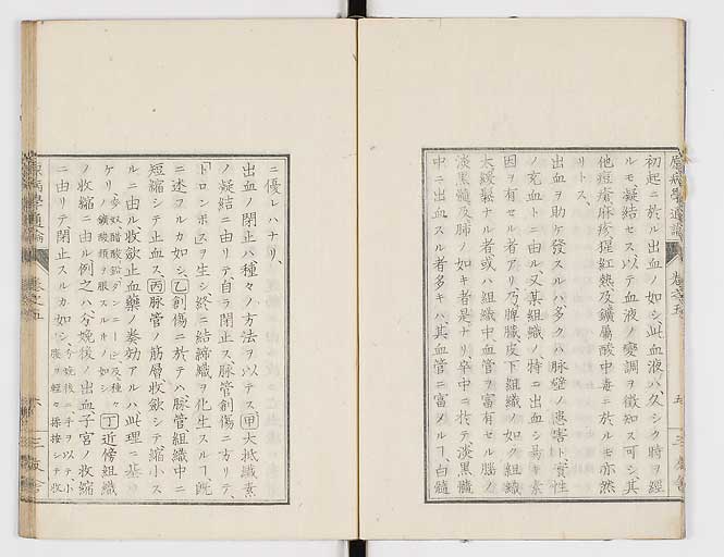 K0046s0055