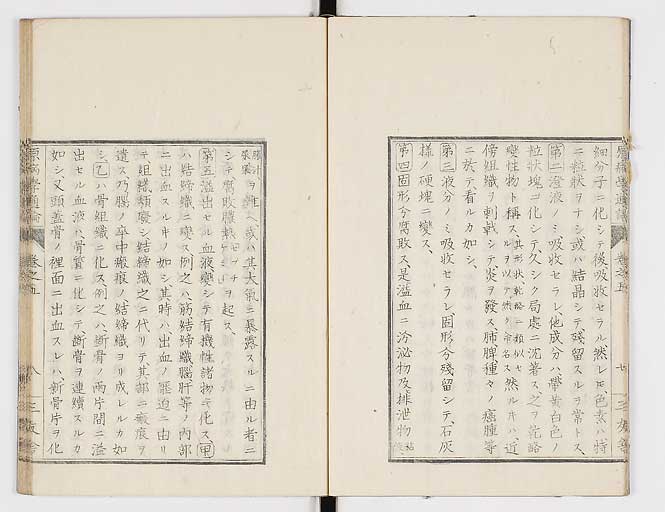 K0046s0057