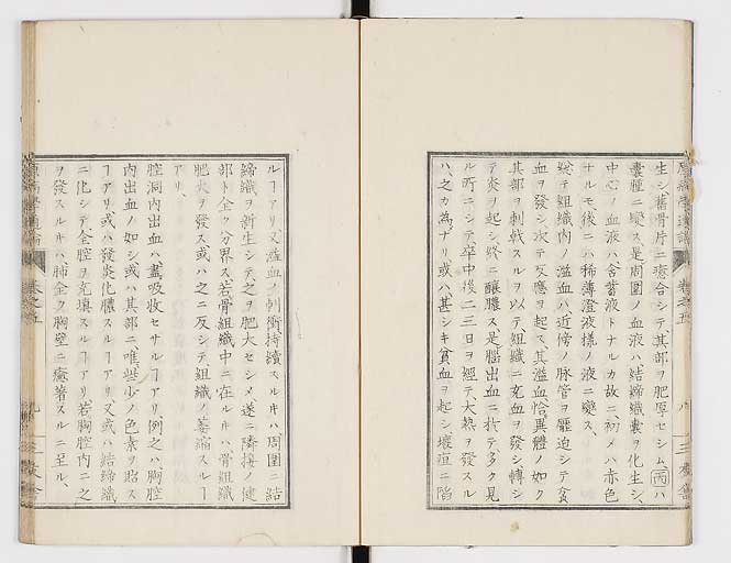 K0046s0058