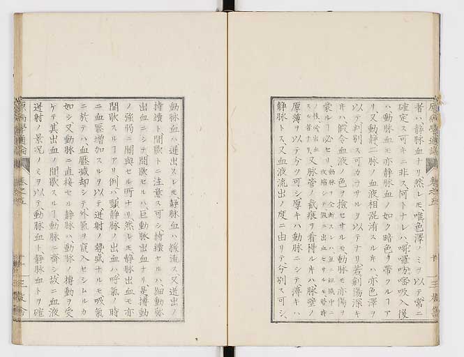 K0046s0060
