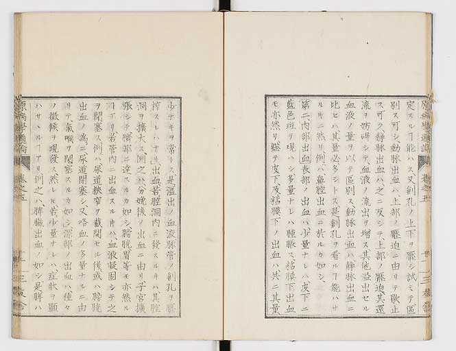 K0046s0061