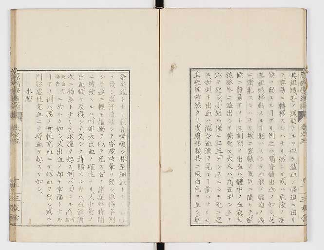 K0046s0062