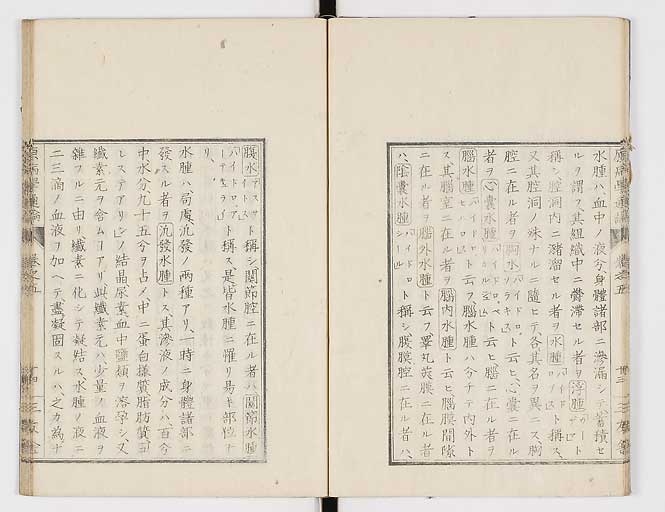 K0046s0063